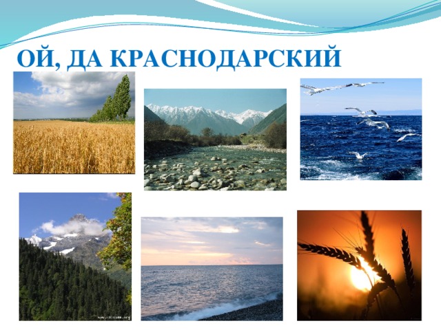 Природа краснодарского края проект