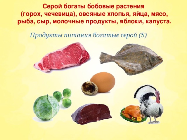 Продукты богатые серой. Продукты питания богатые серой.