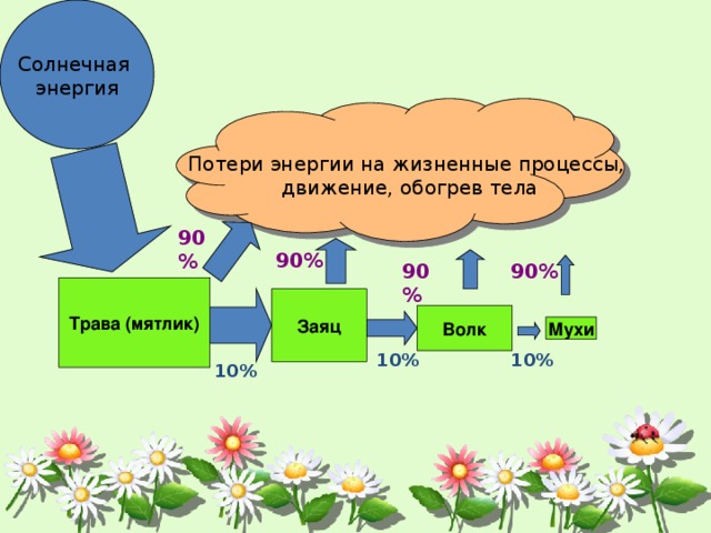 Схему передачи энергии в пищевых цепях