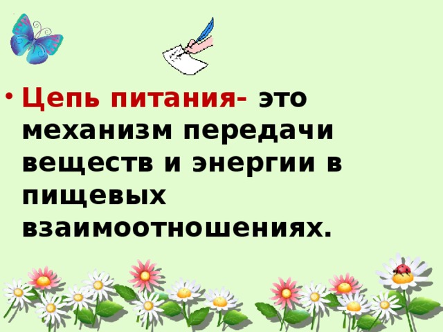 Вывод на тему составление схем передачи веществ и энергии цепей питания