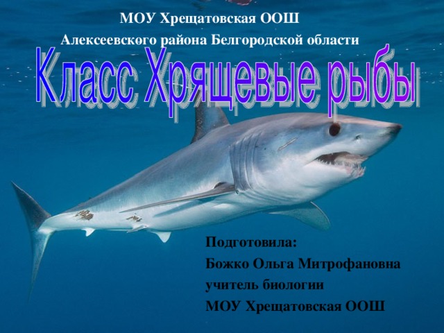 МОУ Хрещатовская ООШ Алексеевского района Белгородской области Подготовила: Божко Ольга Митрофановна учитель биологии МОУ Хрещатовская ООШ 