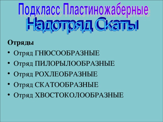 Отряды Отряд ГНЮСООБРАЗНЫЕ Отряд ПИЛОРЫЛООБРАЗНЫЕ Отряд РОХЛЕОБРАЗНЫЕ Отряд СКАТООБРАЗНЫЕ Отряд ХВОСТОКОЛООБРАЗНЫЕ 