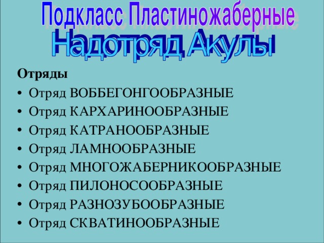 Отряды Отряд ВОББЕГОНГООБРАЗНЫЕ Отряд КАРХАРИНООБРАЗНЫЕ Отряд КАТРАНООБРАЗНЫЕ Отряд ЛАМНООБРАЗНЫЕ Отряд МНОГОЖАБЕРНИКООБРАЗНЫЕ Отряд ПИЛОНОСООБРАЗНЫЕ Отряд РАЗНОЗУБООБРАЗНЫЕ Отряд СКВАТИНООБРАЗНЫЕ 