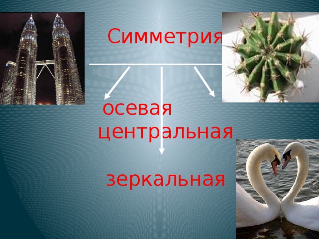 зеркальная симметрия примеры