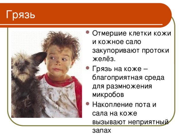 Грязь Отмершие клетки кожи и кожное сало закупоривают протоки желёз. Грязь на коже – благоприятная среда для размножения микробов Накопление пота и сала на коже вызывают неприятный запах 