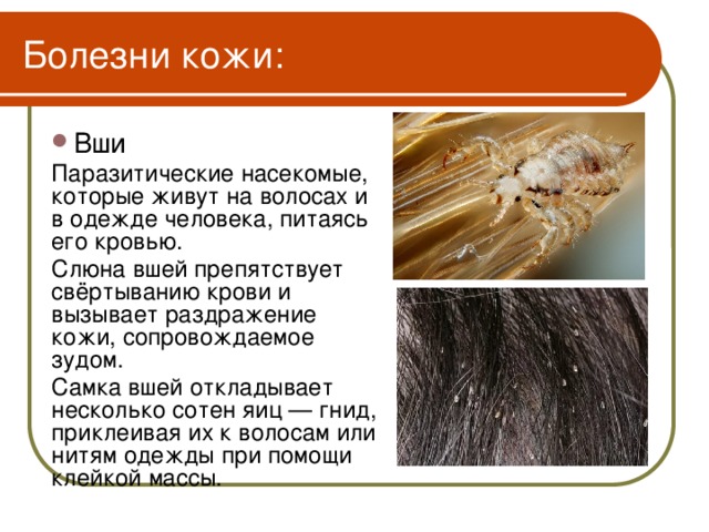 Какие внутренние причины заболевания волос