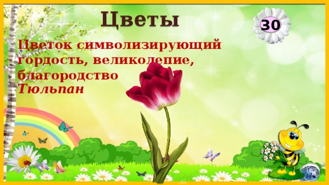Цветы 30 Цветок символизирующий гордость, великолепие, благородство Тюльпан  