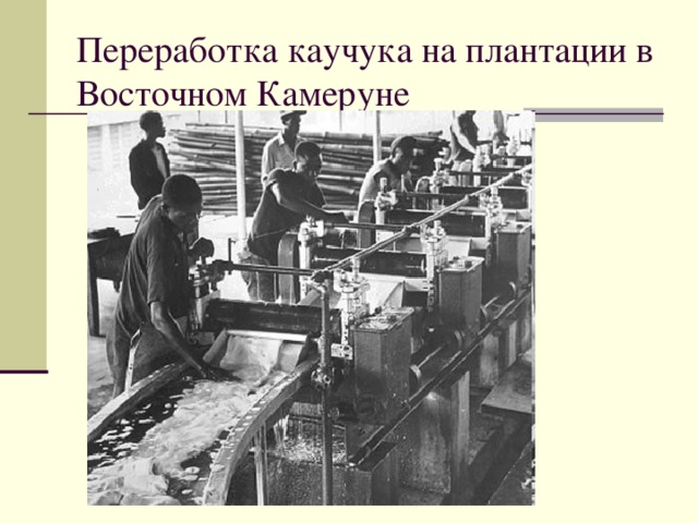 Переработка каучука на плантации в Восточном Камеруне 
