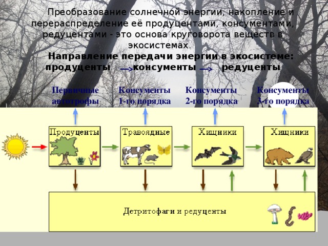 Виды энергии поступающие в квартиру извне схема экология