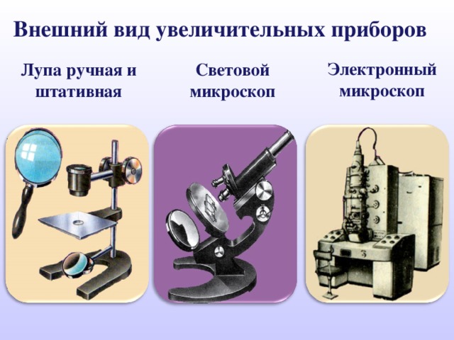 Внешний вид увеличительных приборов Электронный микроскоп Лупа ручная и штативная Световой микроскоп 