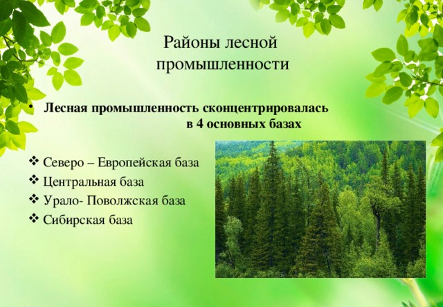 Районы лесной  промышленности Лесная промышленность сконцентрировалась в 4 основных базах Северо – Европейская база Центральная база Урало- Поволжская база Сибирская база 