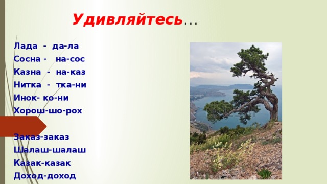 Удивляйтесь … Лада - да-ла Сосна - на-сос Казна - на-каз Нитка - тка-ни Инок- ко-ни Хорош-шо-рох  Заказ-заказ Шалаш-шалаш Казак-казак Доход-доход   