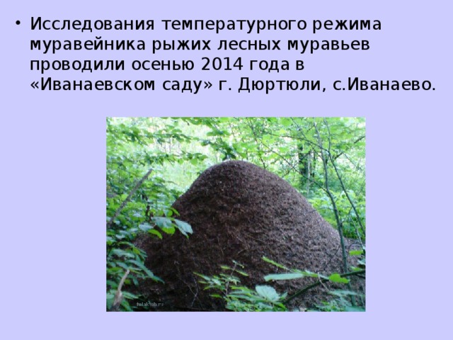 Исследования температурного режима муравейника рыжих лесных муравьев проводили осенью 2014 года в «Иванаевском саду» г. Дюртюли, с.Иванаево.  