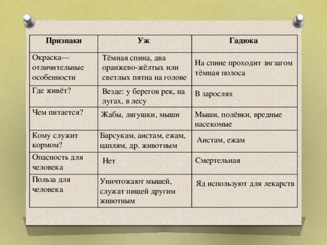 Сходства гадюки и ужа окружающий. Гадюка и уж сходство и различия. Сходства сравнения и различия ужин и гадюки. Гадюка и уж сходство и различия 3. Сравнение гадюки и ужа сходство и различия.