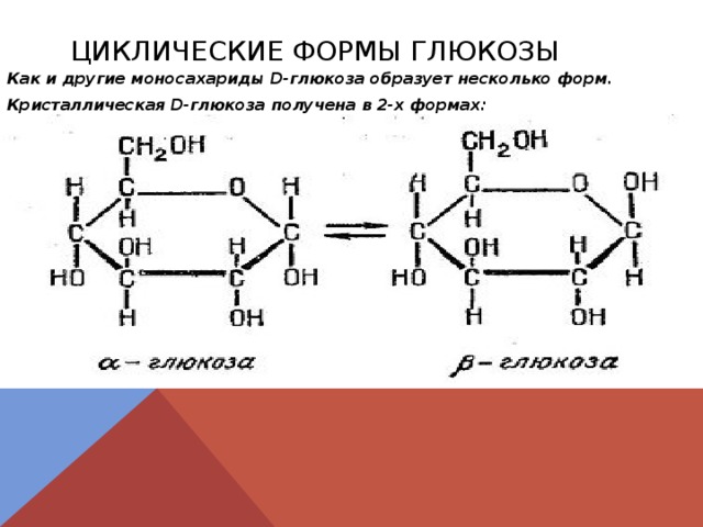 Каким номером на рисунке обозначена глюкоза