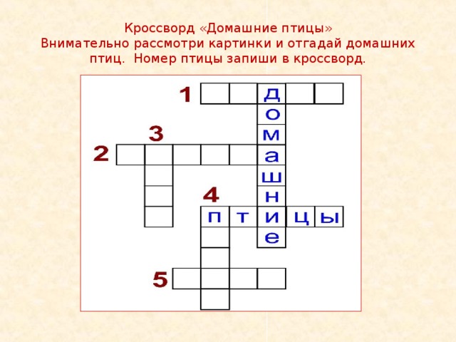 Птица сканворд 5