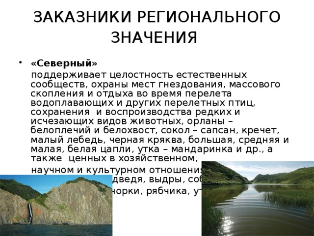 Сев значение. Заповедники Сахалинской области. ООПТ Сахалина. Особо охраняемые компоненты природы Сахалина.