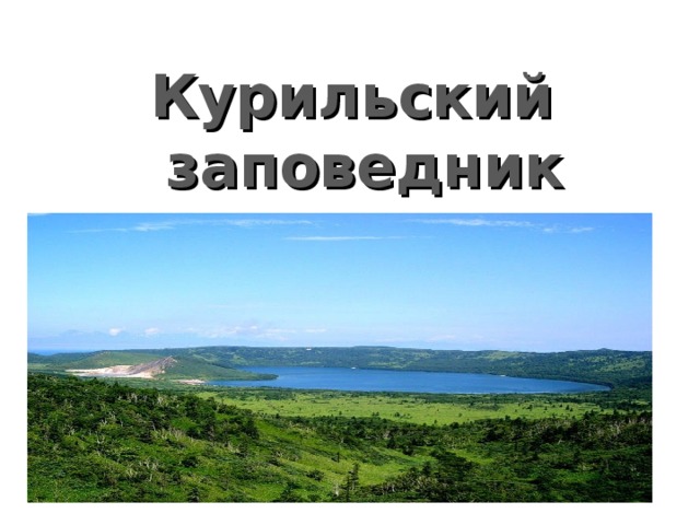 Курильский заповедник презентация