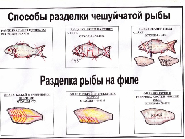 Технологическая карта на стейк из семги на