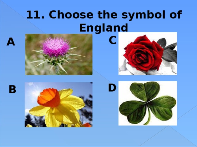 11. Choose the symbol of England C A  D B 