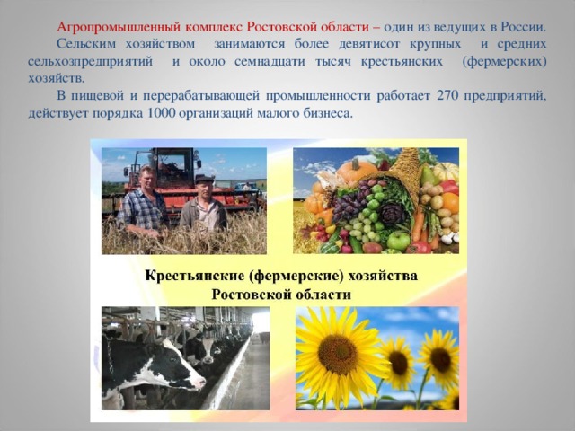 Агропромышленный комплекс Ростовской области – один из ведущих в России. Сельским хозяйством занимаются более девятисот крупных и средних сельхозпредприятий и около семнадцати тысяч крестьянских (фермерских) хозяйств. В пищевой и перерабатывающей промышленности работает 270 предприятий, действует порядка 1000 организаций малого бизнеса. 
