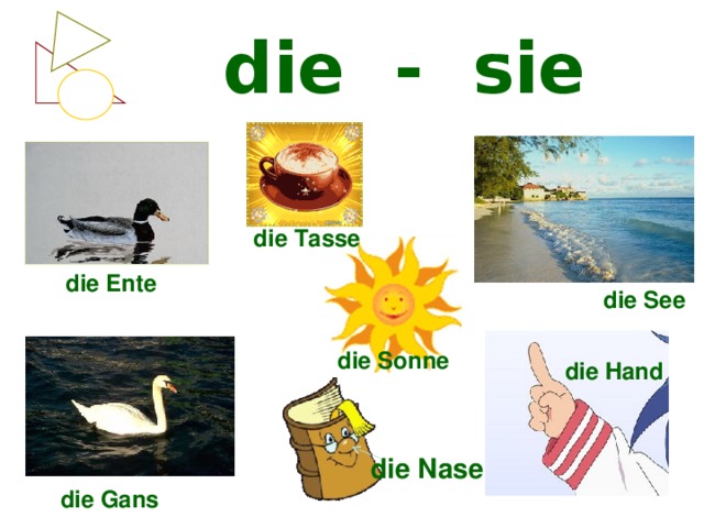 Die see