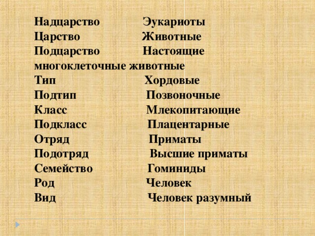 Формирование представлений об эволюции человека место человека в зоологической системе презентация