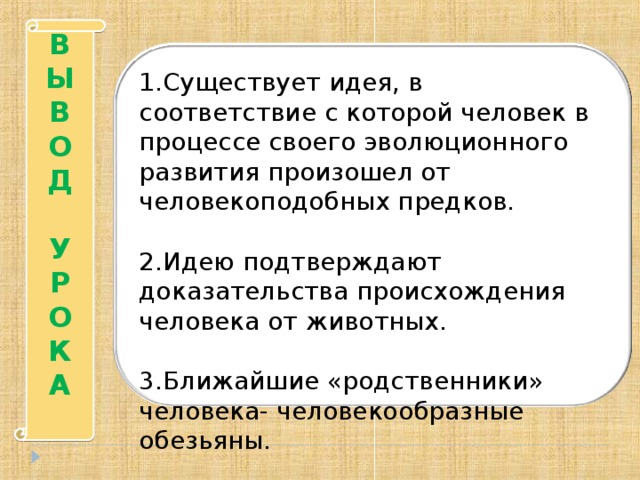 Место человека в зоологической системе презентация