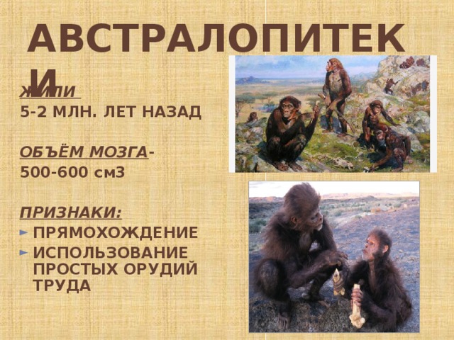 АВСТРАЛОПИТЕКИ ЖИЛИ  5-2 МЛН. ЛЕТ НАЗАД  ОБЪЁМ МОЗГА - 500-600 см3  ПРИЗНАКИ: ПРЯМОХОЖДЕНИЕ ИСПОЛЬЗОВАНИЕ ПРОСТЫХ ОРУДИЙ ТРУДА  