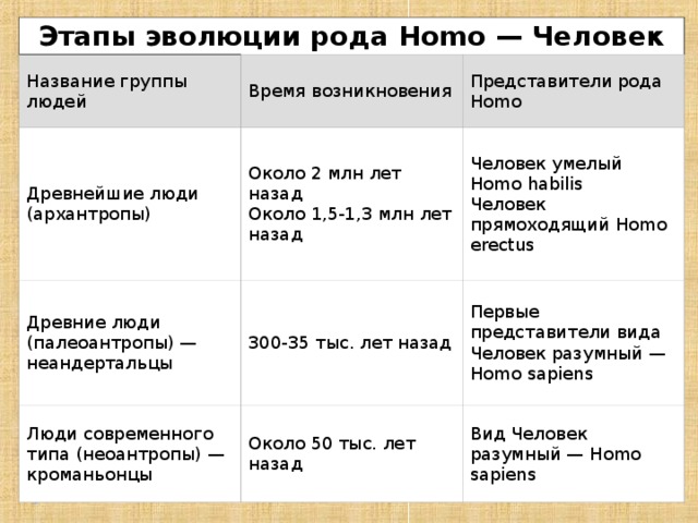 Назовите этап развития. Этапы развития рода человека. Этапы эволюции рода homo. Этапы эволюции рода человек. Основные этапы эволюции рода хомо.