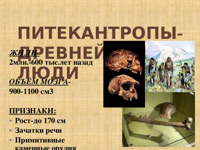 ПИТЕКАНТРОПЫ -  ДРЕВНЕЙШИЕ ЛЮДИ ЖИЛИ 2млн.-600 тыс.лет назад  ОБЪЁМ МОЗГА -  900-1100 см3  ПРИЗНАКИ: Рост-до 170 см Зачатки речи Примитивные каменные орудия  