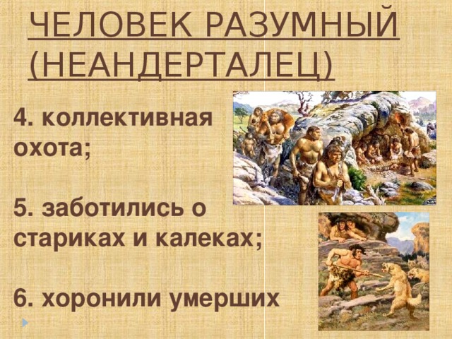 ЧЕЛОВЕК РАЗУМНЫЙ (НЕАНДЕРТАЛЕЦ) 4. коллективная охота;  5. заботились о стариках и калеках;  6. хоронили умерших 