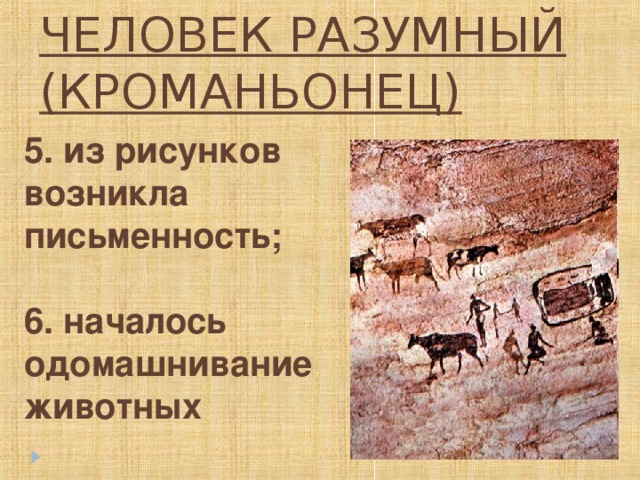 ЧЕЛОВЕК РАЗУМНЫЙ (КРОМАНЬОНЕЦ) 5. из рисунков возникла письменность;  6. началось одомашнивание животных 