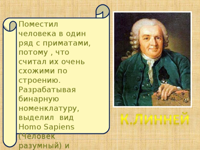 Поместил человека в один ряд с приматами, потому , что считал их очень схожими по строению.  Разрабатывая бинарную номенклатуру, выделил вид Homo Sapiens ( Человек разумный) и разделил его на четыре расы. 