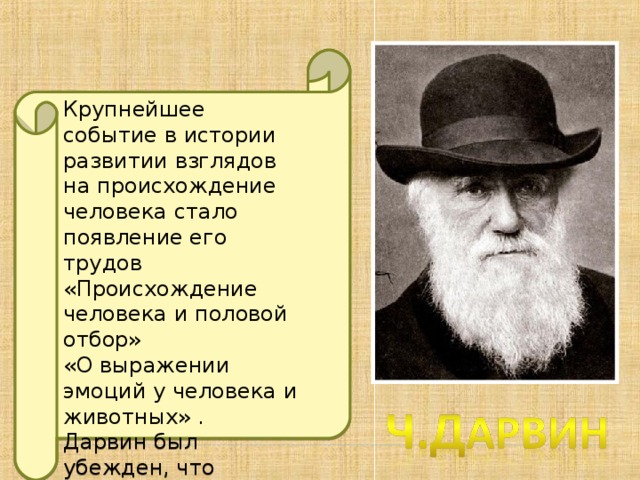 Формирование представлений об эволюции человека место человека в зоологической системе презентация