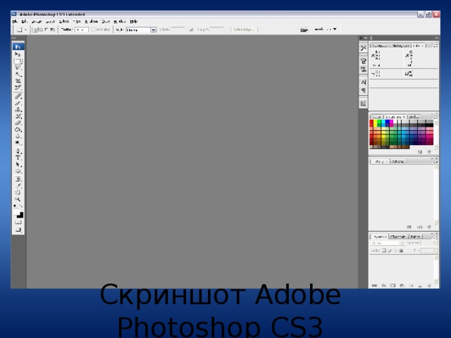 Скриншот Adobe Photoshop CS3 