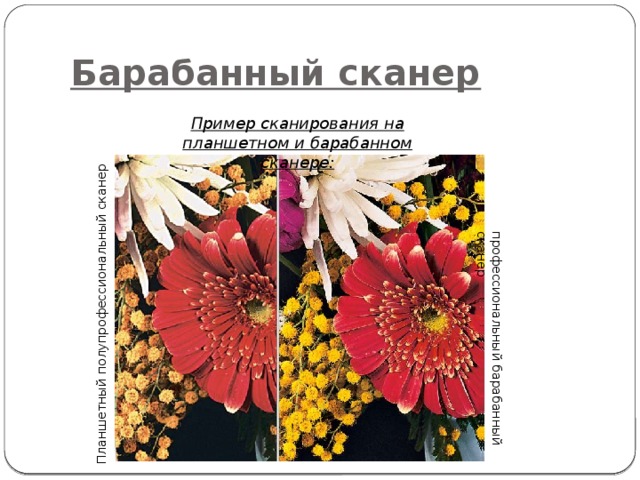 Барабанный сканер Пример сканирования на планшетном и барабанном сканере: Планшетный полупрофессиональный сканер профессиональный барабанный сканер 