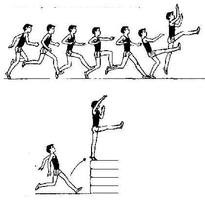 План конспект урока по легкой атлетике 5 класс прыжок в длину с разбега