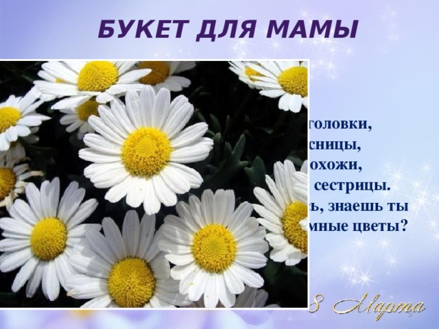 Букет для мамы Жёлтые головки, Белые ресницы, Все они похожи, Будто бы сестрицы. Я надеюсь, знаешь ты Эти скромные цветы?  