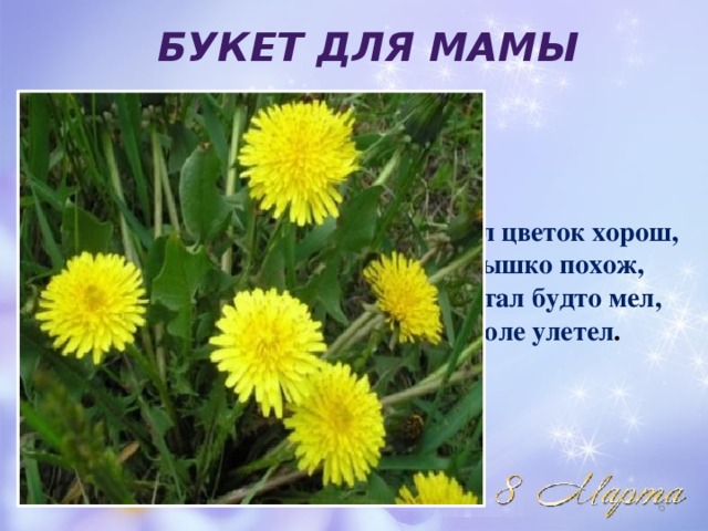 Букет для мамы Жёлтым был цветок хорош, Был на солнышко похож, Через день стал будто мел, С ветром в поле улетел .  