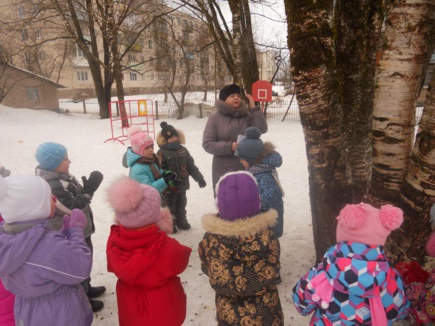 Прогулка в старшей группе декабрь