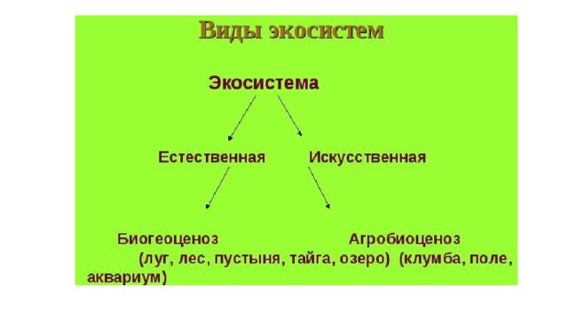 Естественные экосистемы искусственные экосистемы таблица