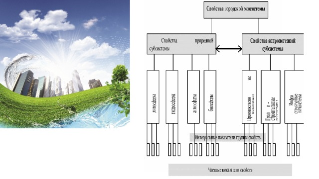Экосистема города рисунок