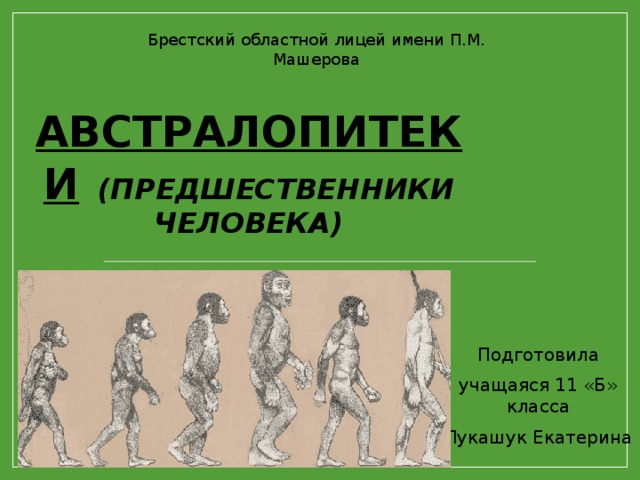 Презентация предшественники человека