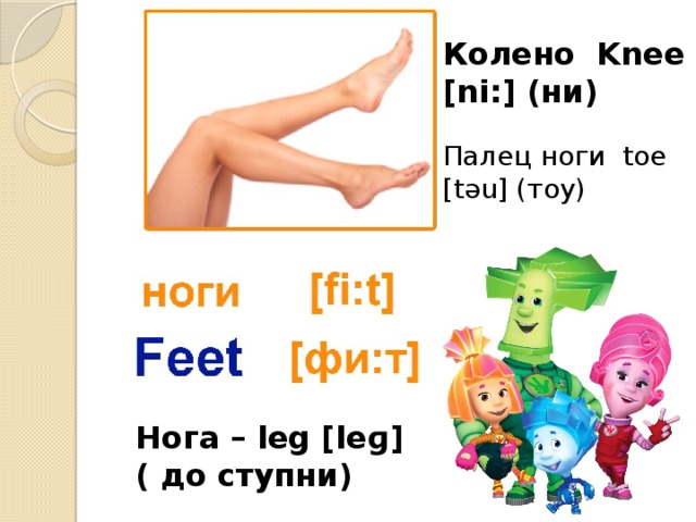 Колено Knee [ni:] (ни) Палец ноги toe [təu] (тоу) Нога – leg [leɡ] ( до ступни)