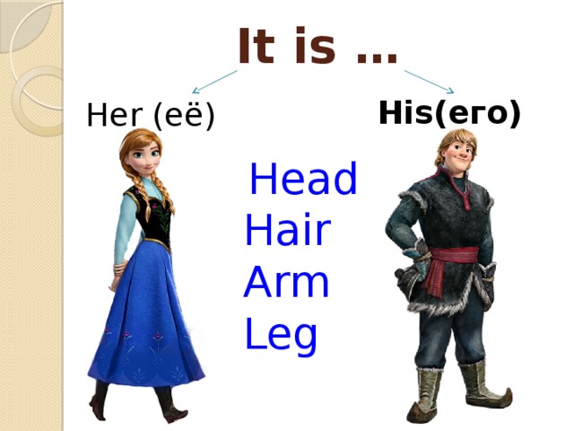 It is …   His(его) Her (её)   Head Hair Arm Leg