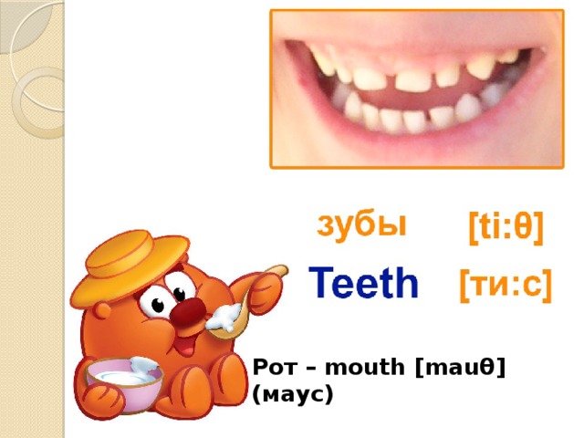 Рот – mouth [mauθ] (маус)
