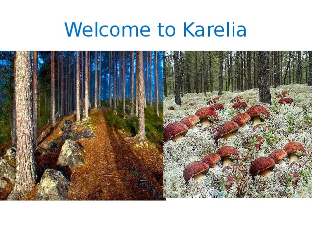 Welcome to Karelia 