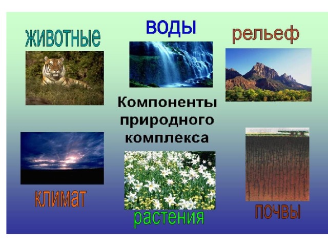 Презентация по географии 6 класс географическая оболочка земли полярная звезда