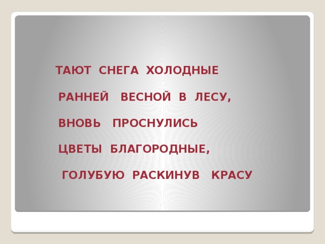 ТАЮТ СНЕГА ХОЛОДНЫЕ   РАННЕЙ ВЕСНОЙ В ЛЕСУ,   ВНОВЬ ПРОСНУЛИСЬ   ЦВЕТЫ БЛАГОРОДНЫЕ,   ГОЛУБУЮ РАСКИНУВ КРАСУ